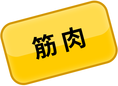 筋肉