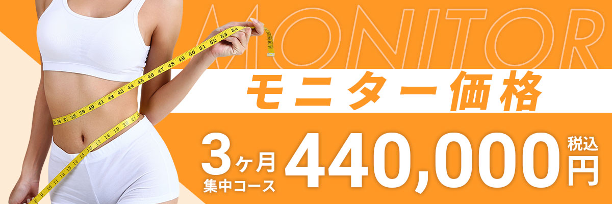 モニター
