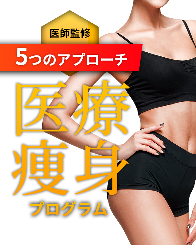 テスラハイパワーSP