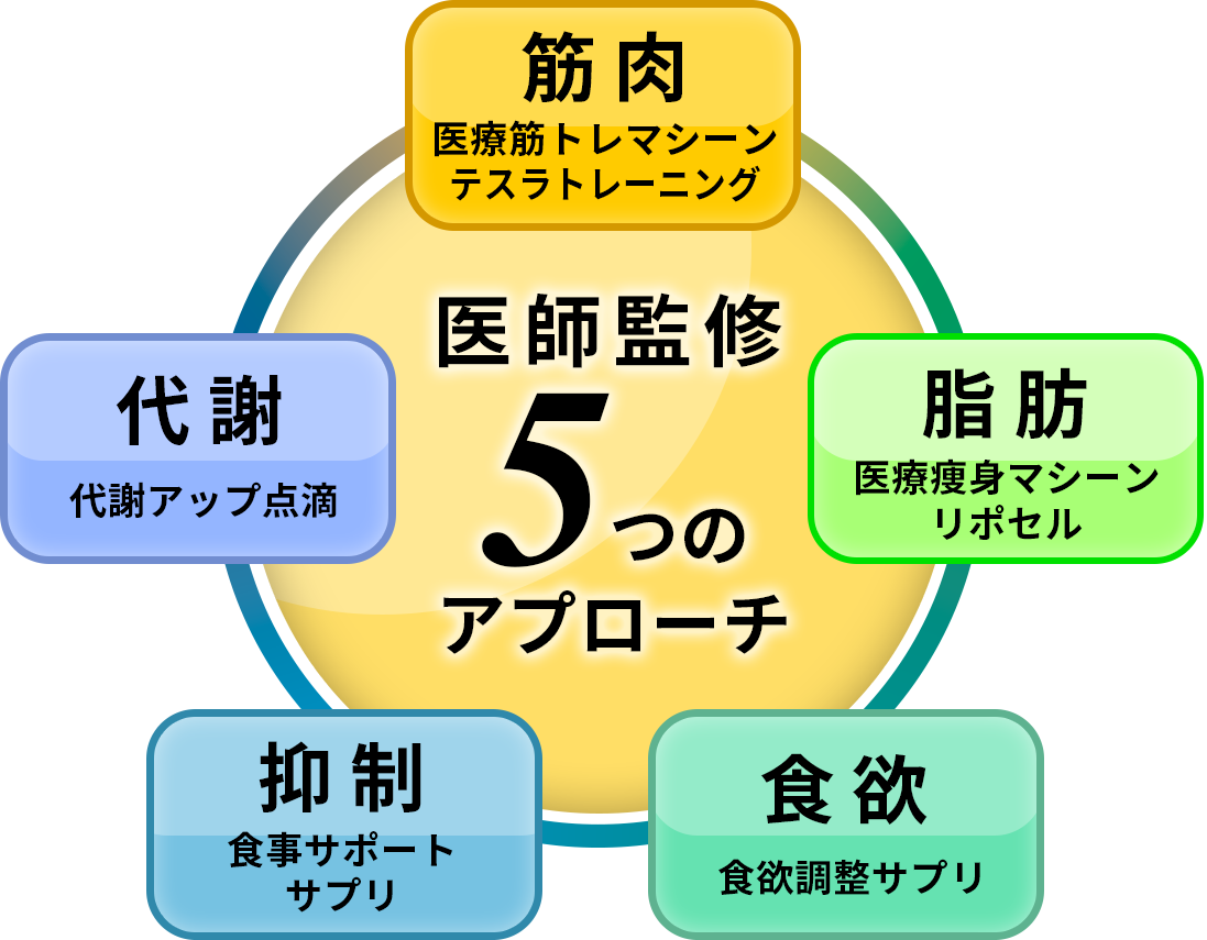 オリジナル医療痩身プログラム
