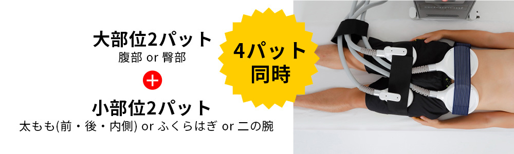 ハイパワー・テスラトレーニング